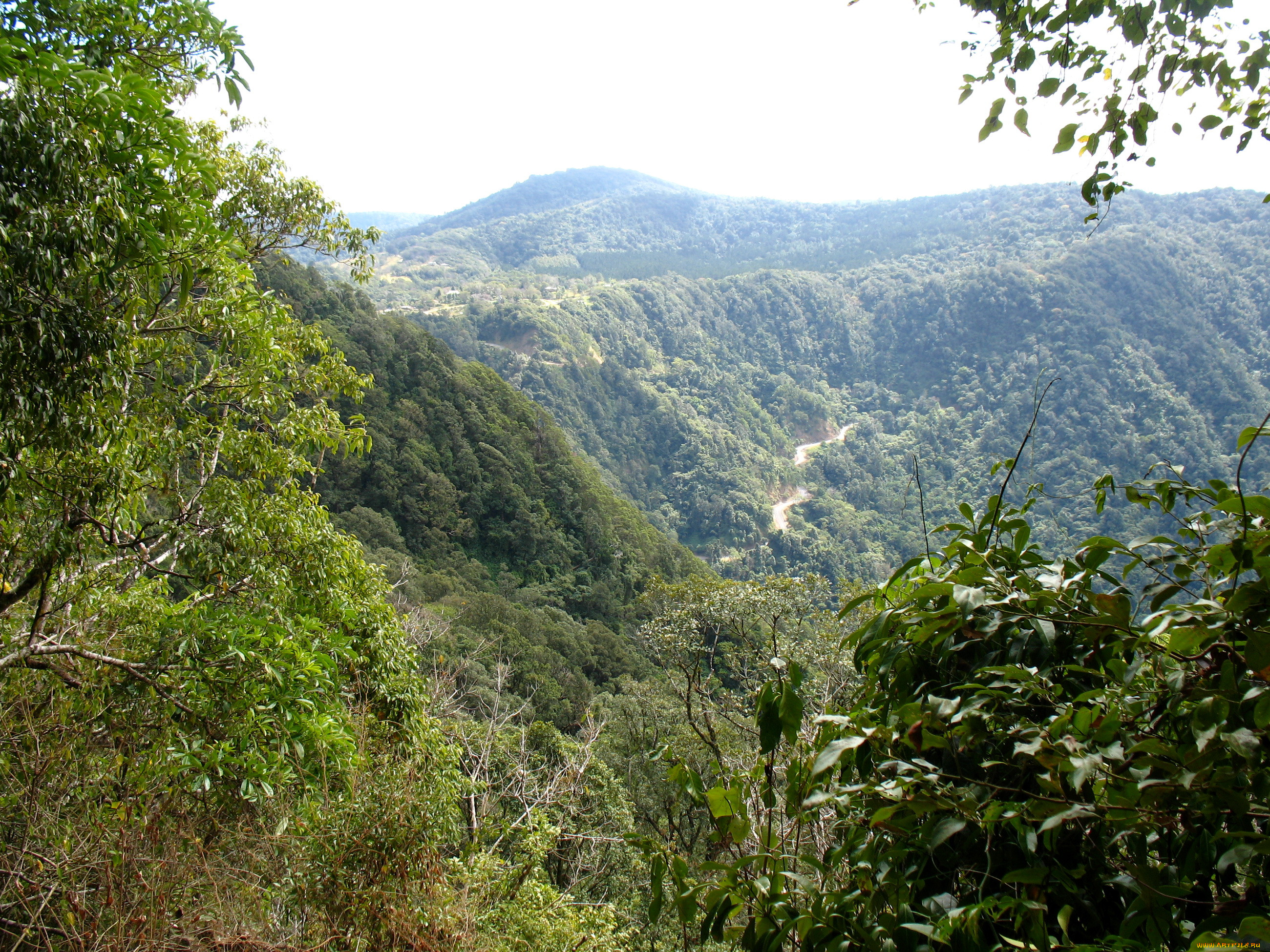 eungella, national, park, , , 